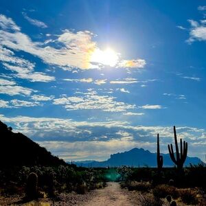 Meet your Posher, Sommer